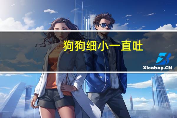 狗狗细小一直吐