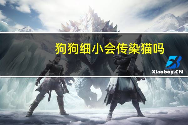 狗狗细小会传染猫吗