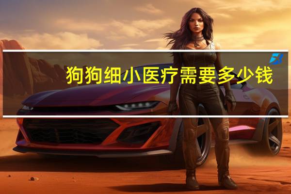 狗狗细小医疗需要多少钱