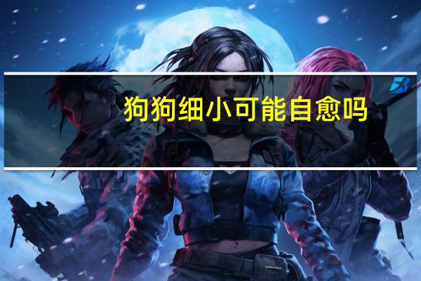 狗狗细小可能自愈吗