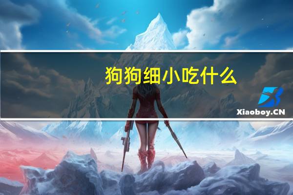 狗狗细小吃什么