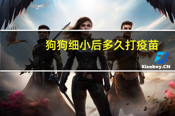 狗狗细小后多久打疫苗