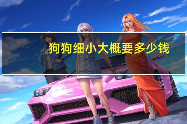 狗狗细小大概要多少钱