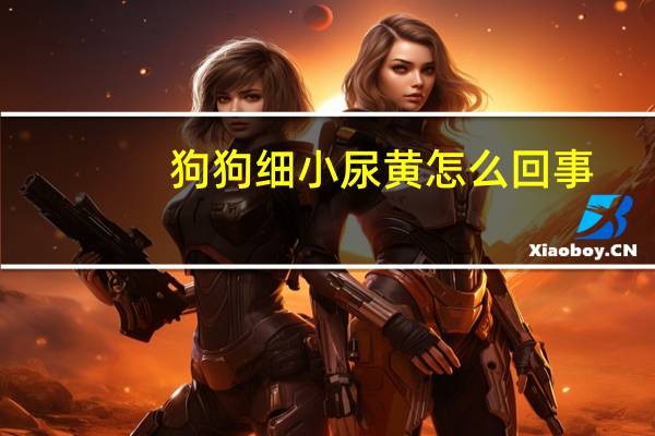 狗狗细小尿黄怎么回事