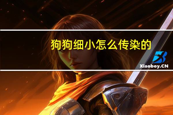 狗狗细小怎么传染的