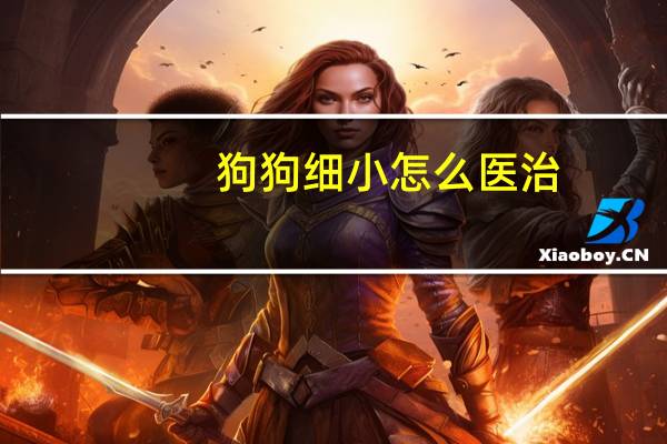 狗狗细小怎么医治