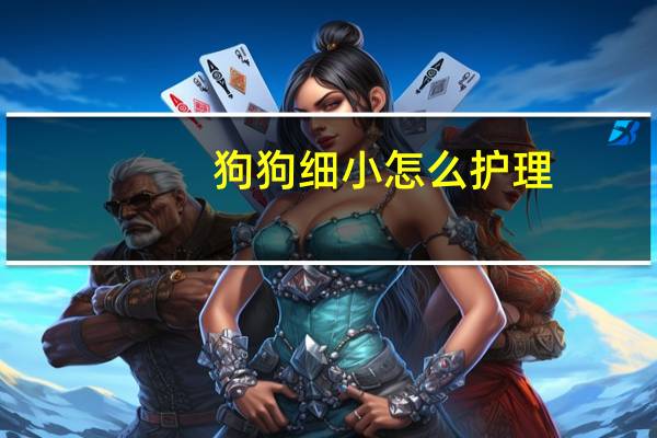 狗狗细小怎么护理