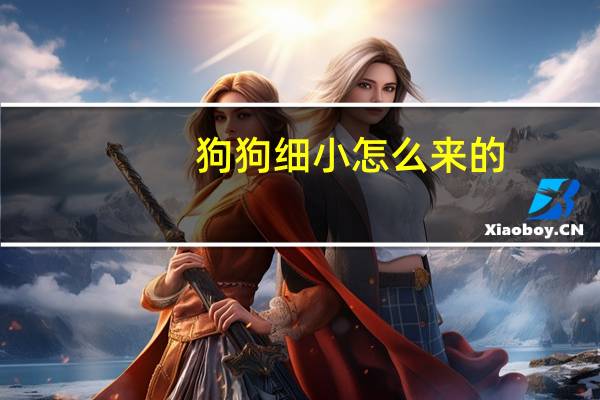狗狗细小怎么来的