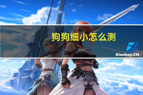 狗狗细小怎么测