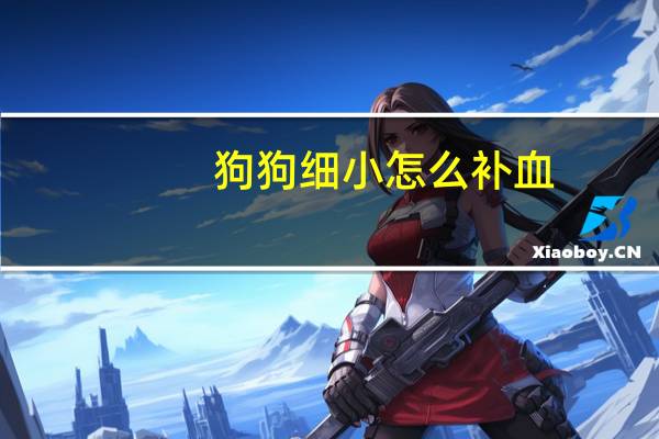狗狗细小怎么补血