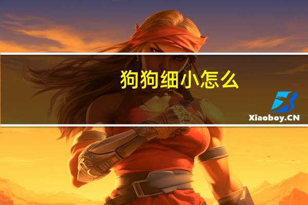 狗狗细小怎么