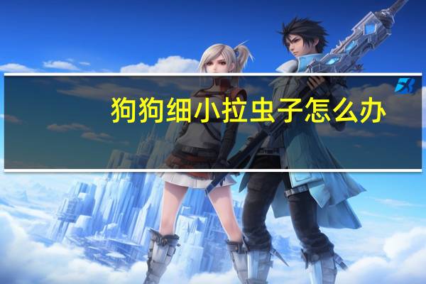 狗狗细小拉虫子怎么办