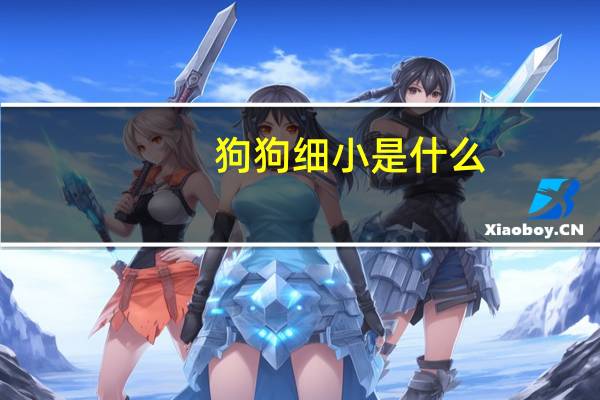 狗狗细小是什么