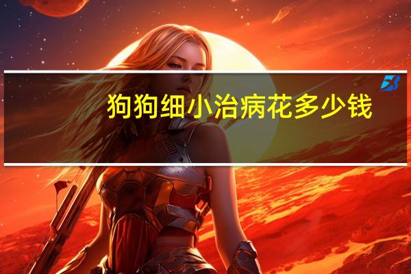 狗狗细小治病花多少钱