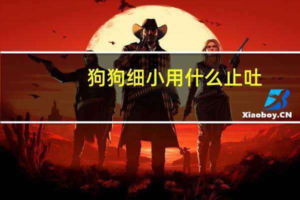 狗狗细小用什么止吐