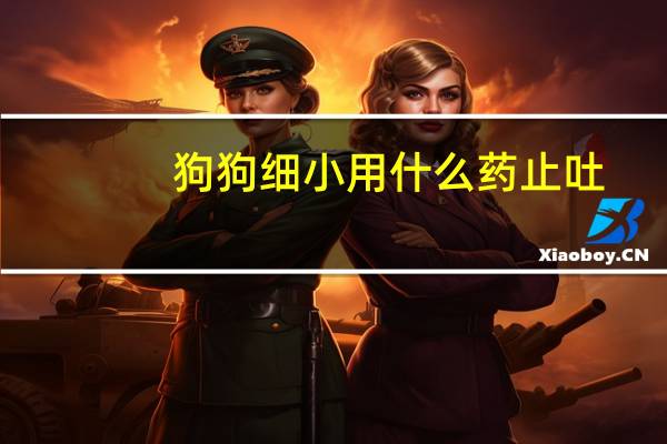 狗狗细小用什么药止吐