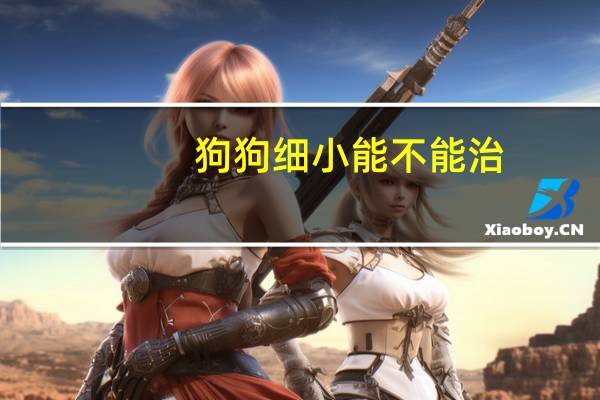 狗狗细小能不能治