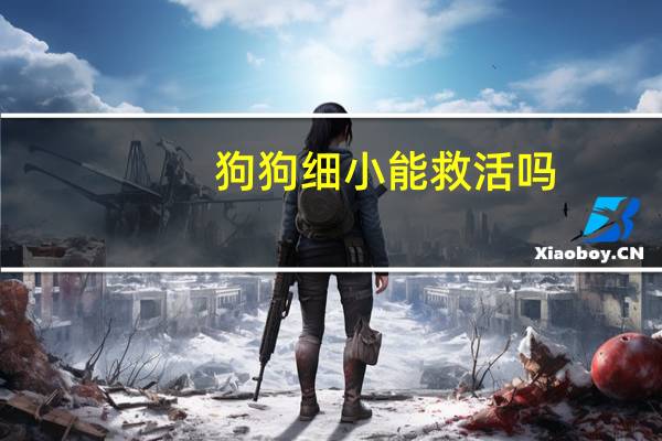 狗狗细小能救活吗