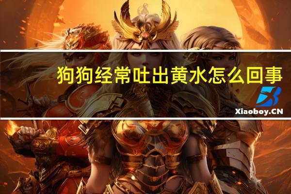 狗狗经常吐出黄水怎么回事