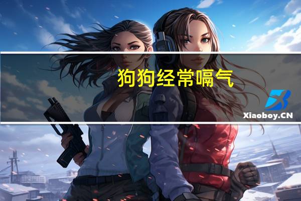 狗狗经常嗝气