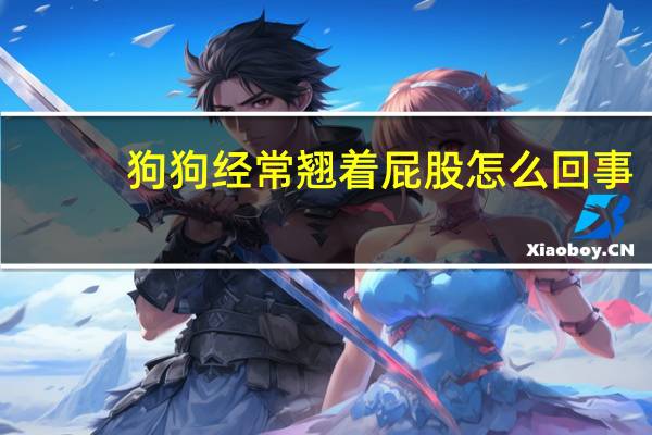 狗狗经常翘着屁股怎么回事