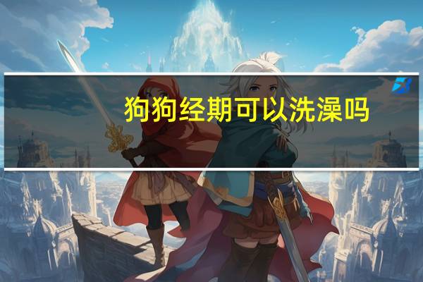 狗狗经期可以洗澡吗