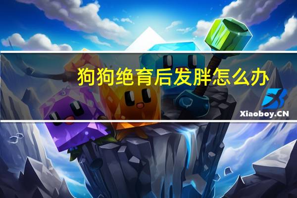 狗狗绝育后发胖怎么办