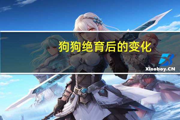 狗狗绝育后的变化