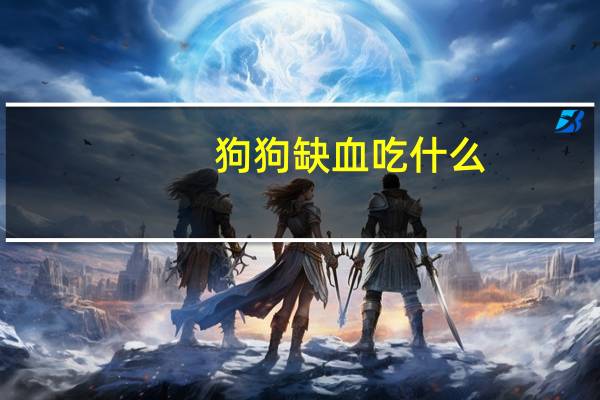 狗狗缺血吃什么