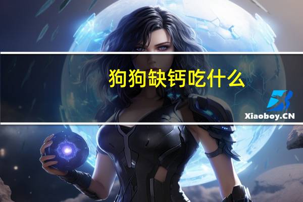 狗狗缺钙吃什么