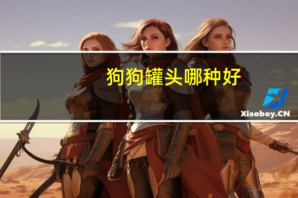 狗狗罐头哪种好