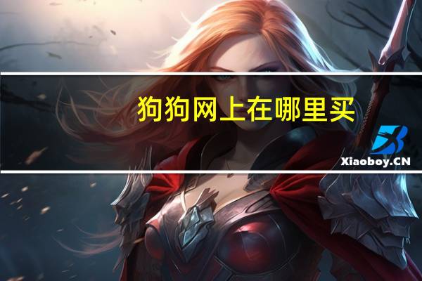 狗狗网上在哪里买