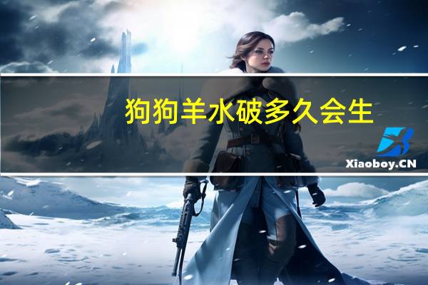 狗狗羊水破多久会生