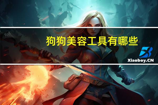狗狗美容工具有哪些