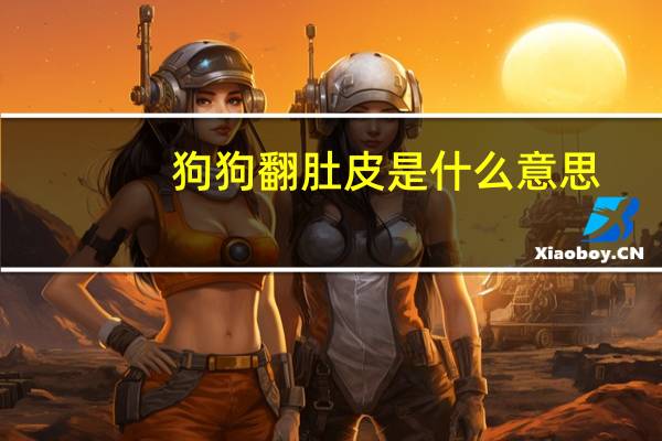 狗狗翻肚皮是什么意思