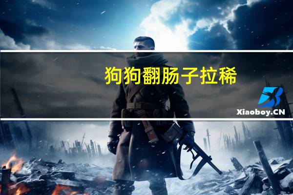 狗狗翻肠子拉稀