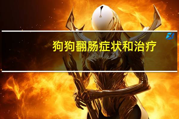 狗狗翻肠症状和治疗