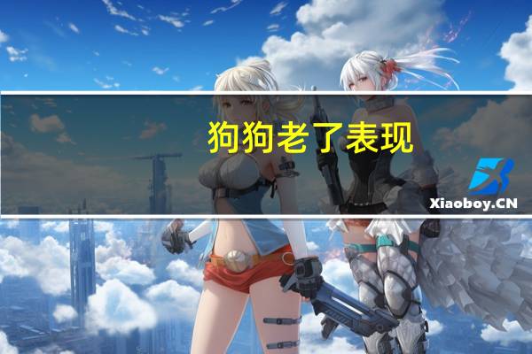 狗狗老了表现