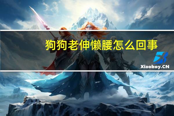狗狗老伸懒腰怎么回事
