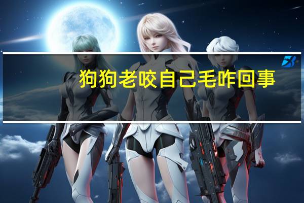 狗狗老咬自己毛咋回事