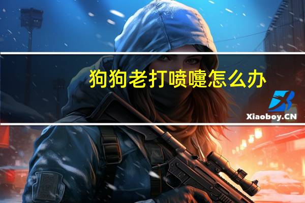 狗狗老打喷嚏怎么办