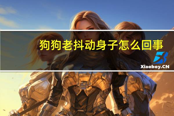 狗狗老抖动身子怎么回事