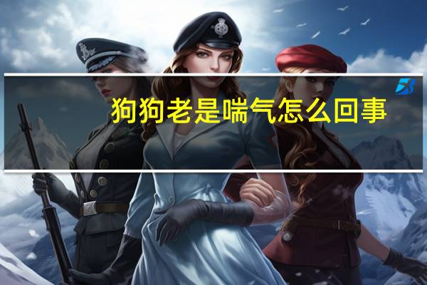 狗狗老是喘气怎么回事