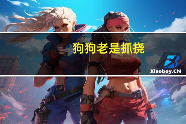 狗狗老是抓挠