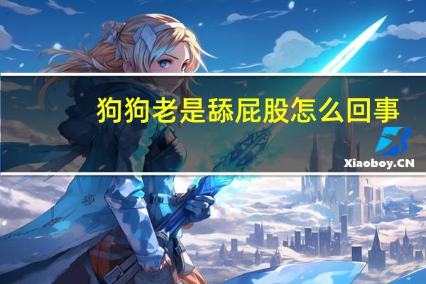 狗狗老是舔屁股怎么回事