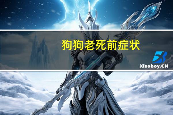 狗狗老死前症状
