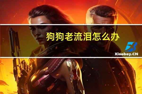 狗狗老流泪怎么办