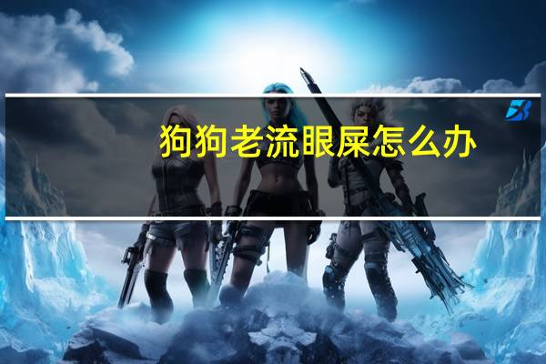 狗狗老流眼屎怎么办