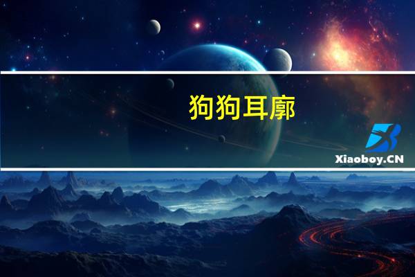 狗狗耳廓
