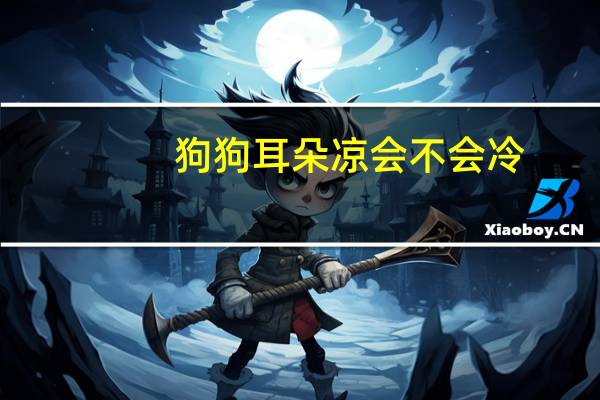 狗狗耳朵凉会不会冷